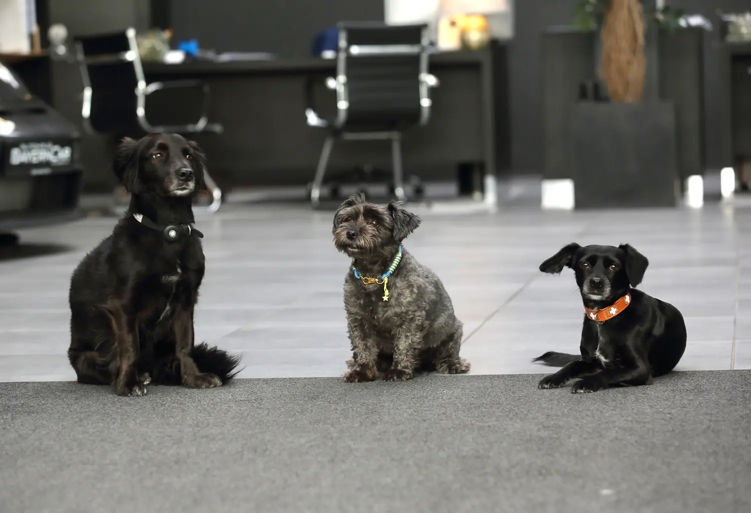 Customer Welcome Team